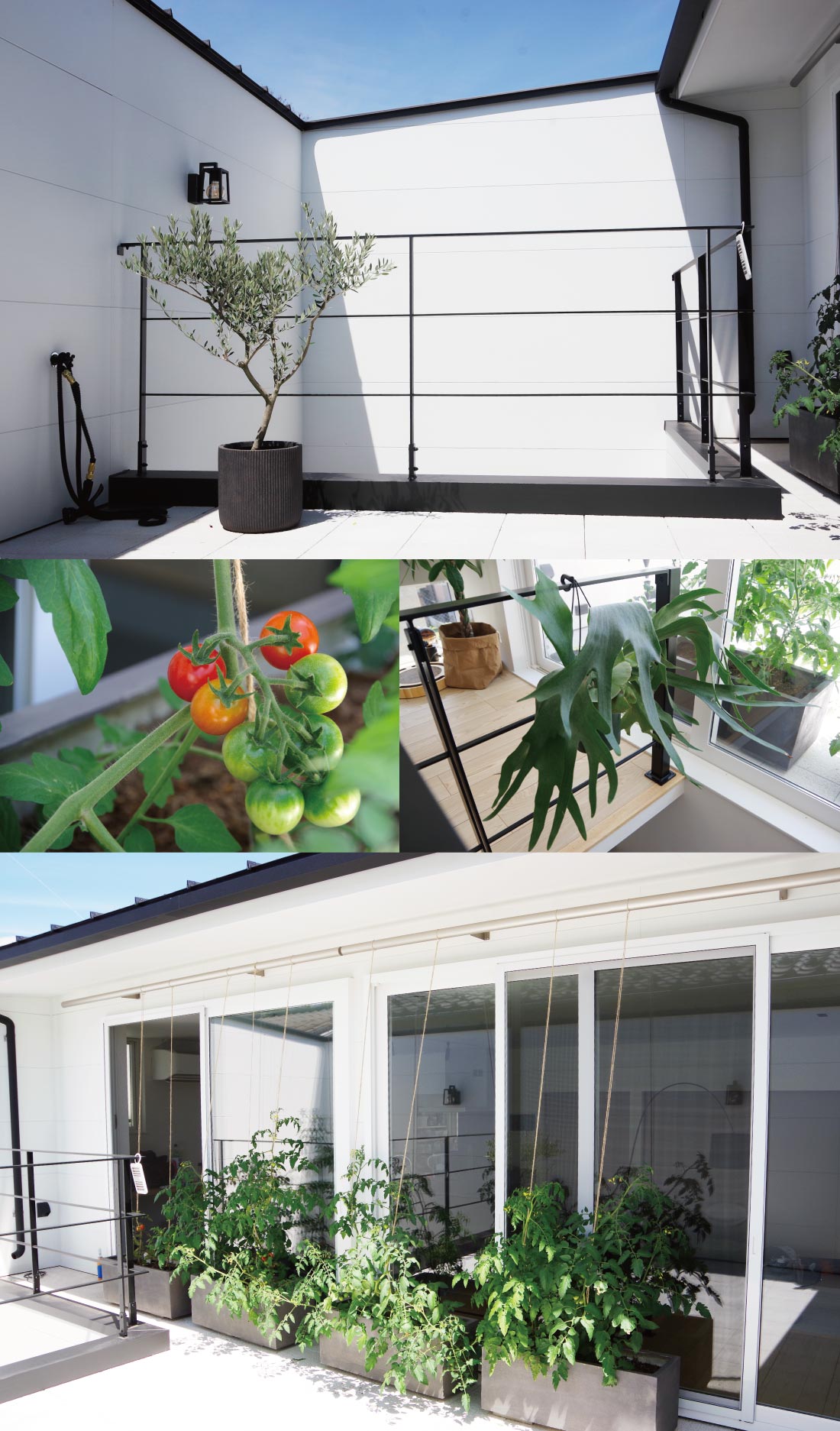 bauhausdesign owner宅@東京都大田区内観