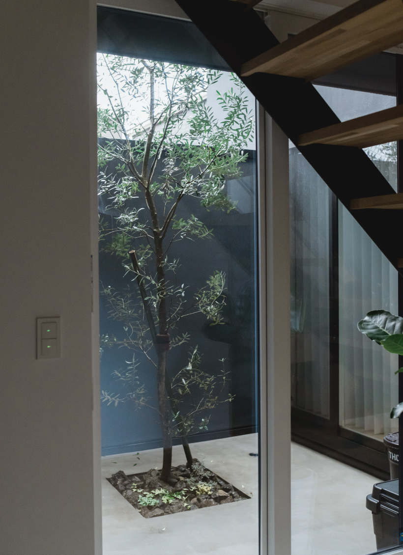 内と外を繋ぐ中庭