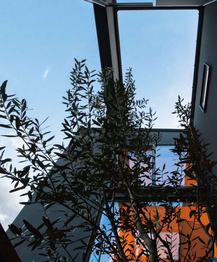 スライド写真14