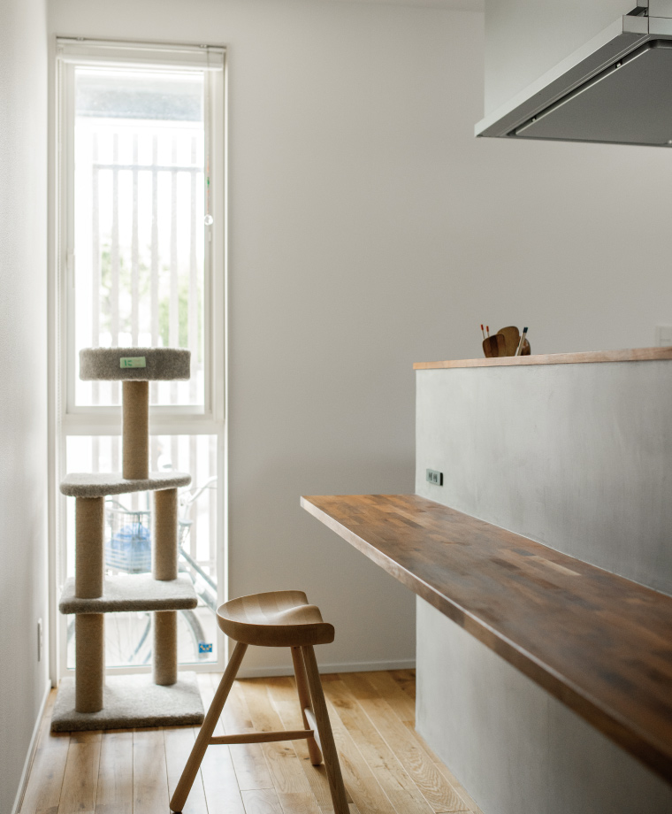 スライド写真10